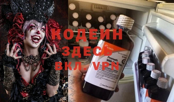 apvp Алзамай