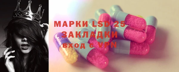 ПСИЛОЦИБИНОВЫЕ ГРИБЫ Алексин